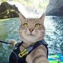 gisselle00190 avatar