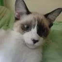 julian_110022 avatar