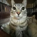 waza0421_69571 avatar