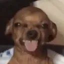 yushihareal