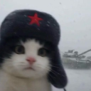 View Abri1389's Profile