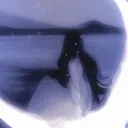 .xavvii.