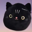 browniekitten