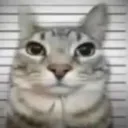 holaxd02976 avatar