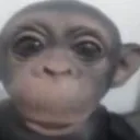 lcw._miojo