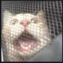 hivhjnnb_71758 avatar