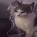 u4d4