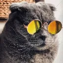 catprime67