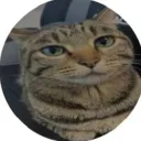 numnumnumnum213 avatar