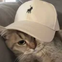 kit_4_life