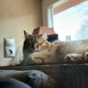 avatar scalettaaaaaaaa