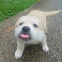 user_rz2rkm88nkxxrlu4 member profile picture