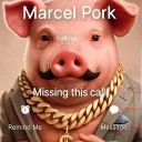 corporalsloth74._72785 avatar