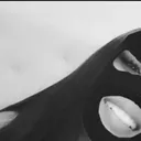 txvhhh