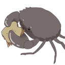 h.p.mudcrab
