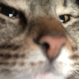 thejayhawk7's Avatar