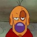 thedingus.guy