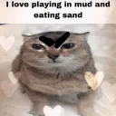 .catfish_