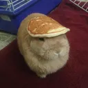 bunnypancake