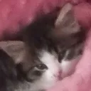 onyk0ny