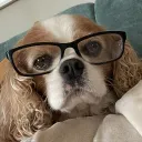 .kerjoc