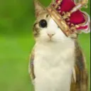 countryballchileyt avatar