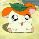 heh_nini