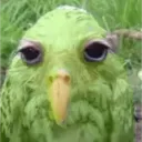 una_persona_normal10393 avatar