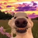 blaineproc2012. avatar