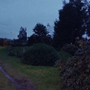 gorronea_111's Avatar