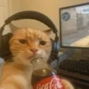 wrekfinkitty
