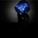 great_mn avatar