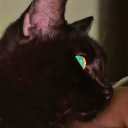 etito_13 member profile picture
