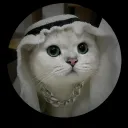 miguelon1185_26693 avatar