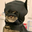 catbat_.