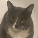 0k179