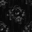 vanta.fx