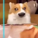 unexpectedblitz_