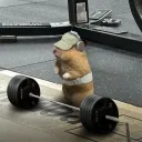 luantenorio0581 avatar