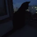 comebumpwithasinner