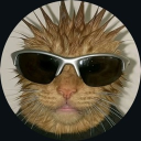 dodoxking