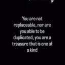 zippy_vr999