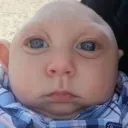 zippy_vr999