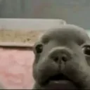 joseherrera12312 avatar