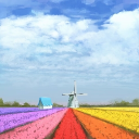 justacoolduuuude's Avatar