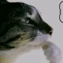 te_masturbo777_11622 avatar