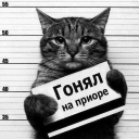 avatar находов