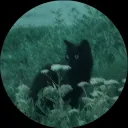 riz_ultimate