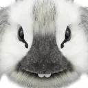 da_catman