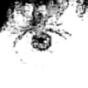 da_catman